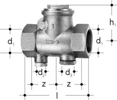Rückschlagklappen +GF+ JRG