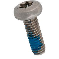 2106 Linsenschrauben