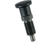 20209 Rastbolzen kompakt