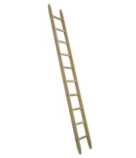 HB Holz-Anstell-Leiter, Typ 480