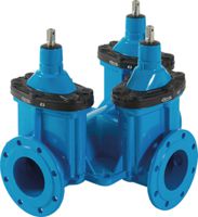 Combi-III mit Flanschen HAWLE 4450