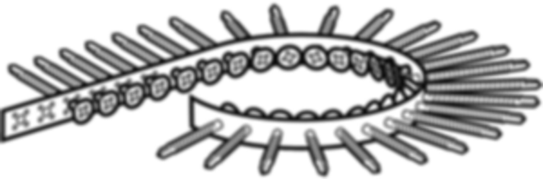 Paneelschraube magaziniert 3,5x35mm 461.031.00.1 - Geberit-Duofix