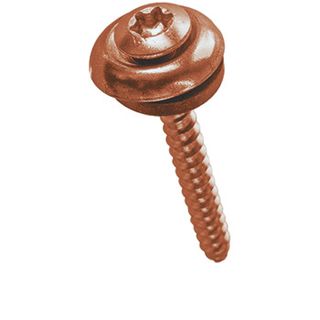 BN-20546-20547 Linsensenk-Fassadenschrauben