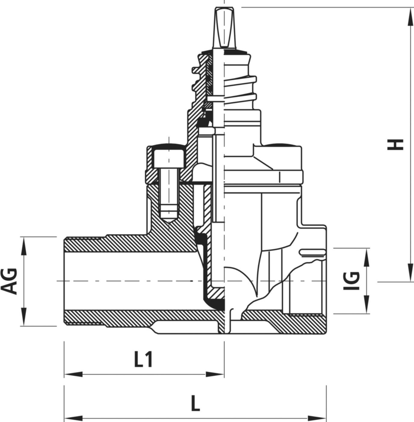 Hausanschlussschieber IG/AG für Gas 2525 2" - 2" - Hawle Hausanschluss- und Anbohrarmaturen