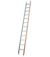 HB Baumleiter Typ 181, 12 Sprossen, L=3.61m - Garten