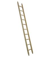 HB Holz-Anstell-Leiter Typ 480, 7 Sprossen, L=2.40m - Garten
