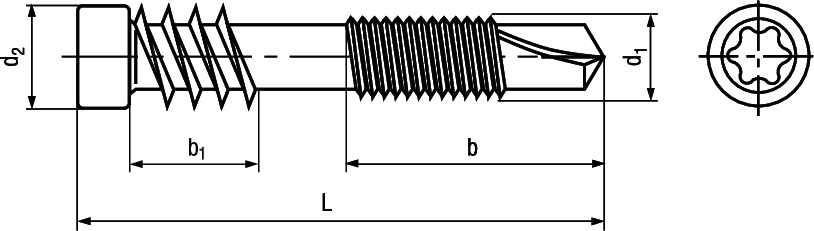 SPAX® Bohrsp I-6rd INOX A2 BN2060 5 x 51 (T25) - Bossard Schrauben
