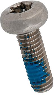 2106 Linsenschrauben