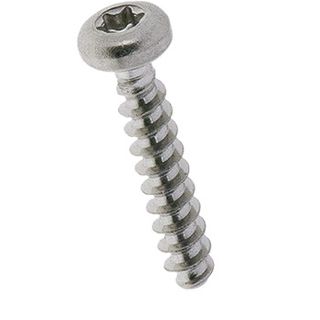 BN-20097 Linsenkopfschraube