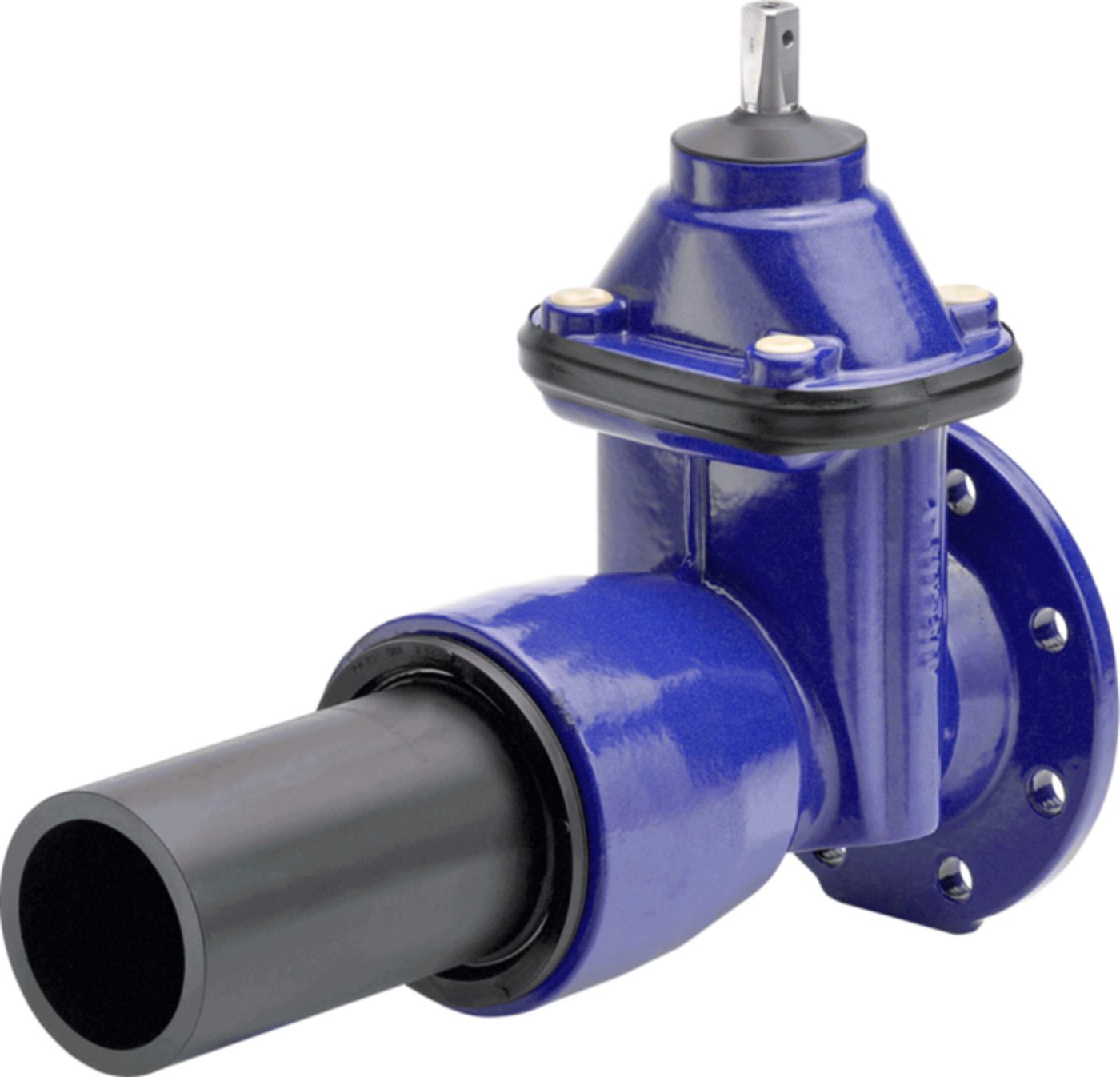 Schieber WILD 2004 NFPE