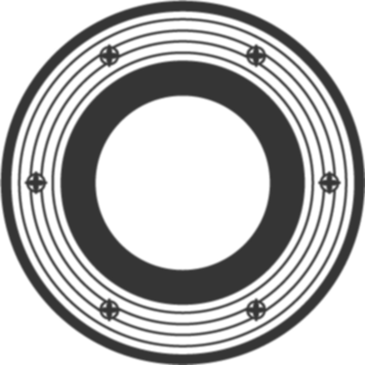 Pressdichtungsflansch Easyflow Kunststoff/Edelstahl 2040.00.02 - ACO Passavant Entwässerungstechnik