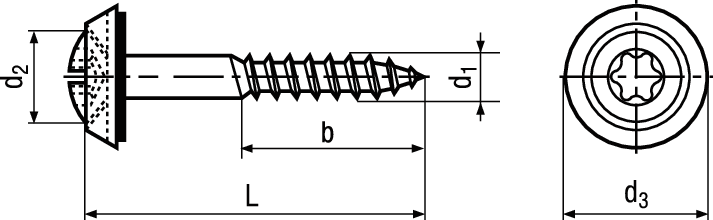 Fassadenschr Cuvette INOX A2 BN20546 Ø4,5x100/80(X25) - Fassadenschrauben