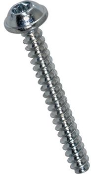 20040 Linsenkopfschraube mit angepresster Scheibe