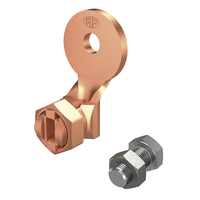 Drahtschuh m/Schr.inox M8x16 Kupfer 6 AF 275.030.553 / AV 4 - AF Blitzschutzprogramm