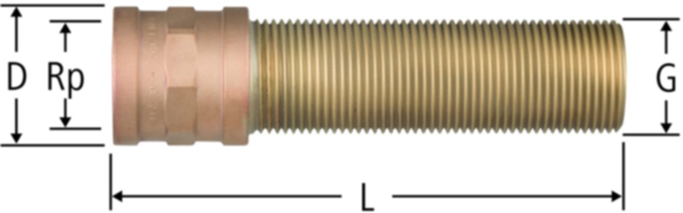 Verlängerungen NUSSBAUM