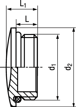 Verschlussschr M O-Ring Ms vni BN22036 10.6315M/G - Bossard Schrauben