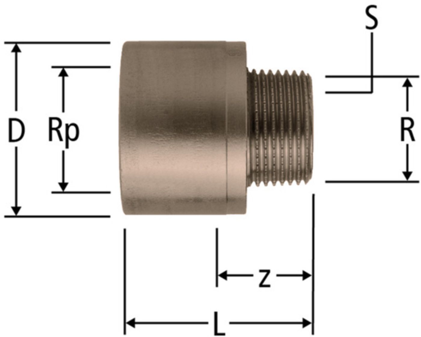 Reduktionen NUSSBAUM Optifitt-Serra