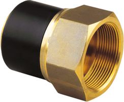 Übergangsadapter +GF+ ELGEF Plus