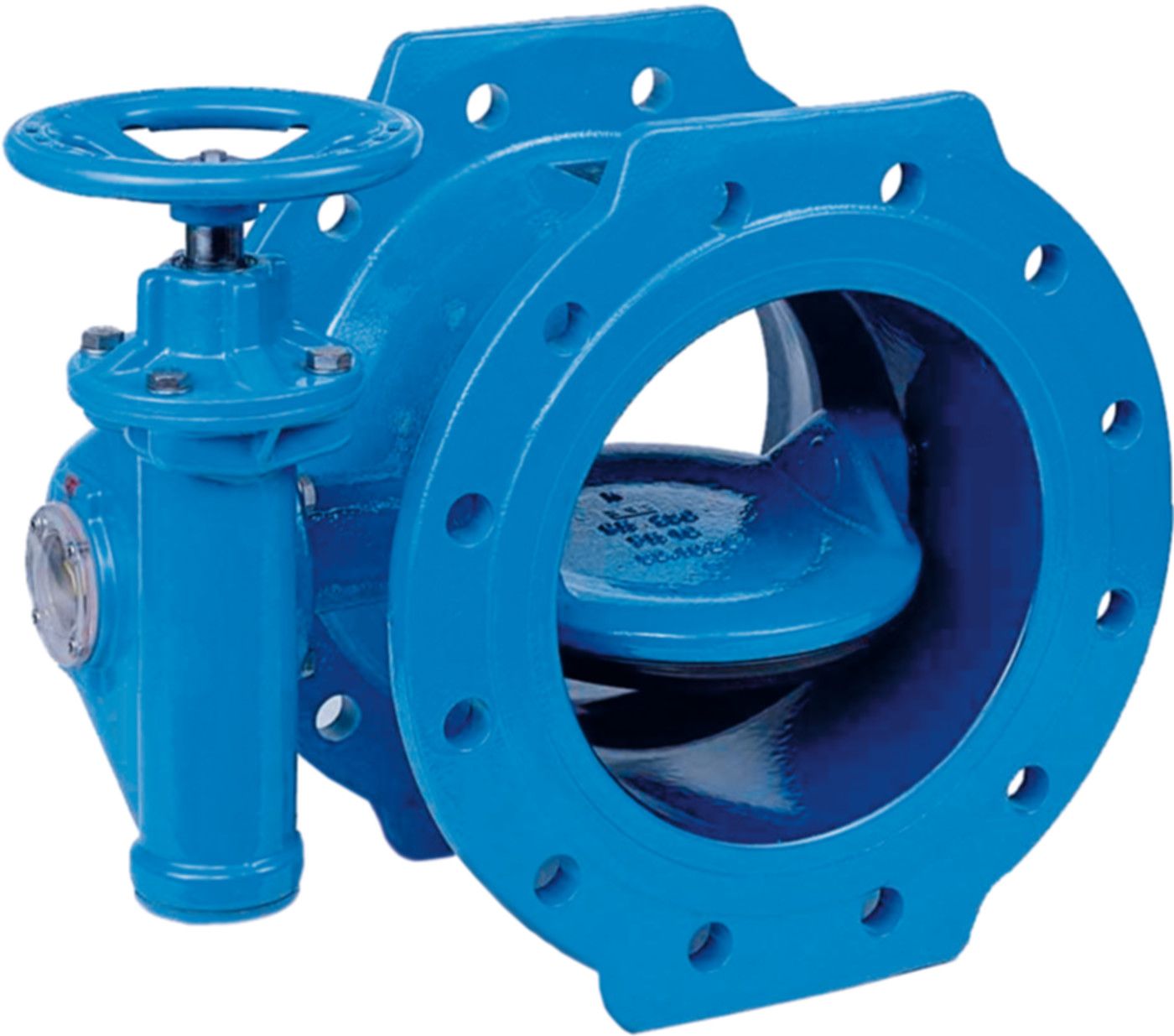 Absperrklappe Wasser Roco Premium für Anlagenbau Flansch PN 10 DN 250 - Erhard Absperrklappen